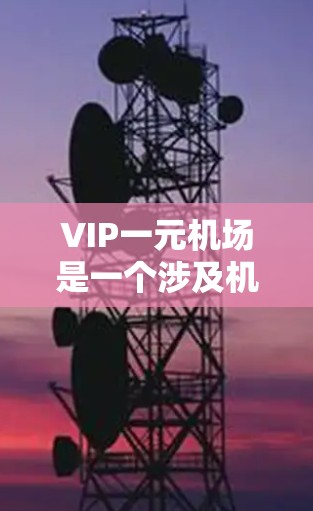 VIP一元机场是一个涉及机场服务和设计的术语，具体含义可能因地区和设计而异，但主要通常指以下几点