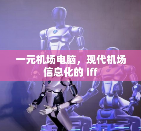 一元机场电脑，现代机场信息化的 iff