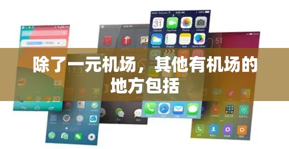 除了一元机场，其他有机场的地方包括