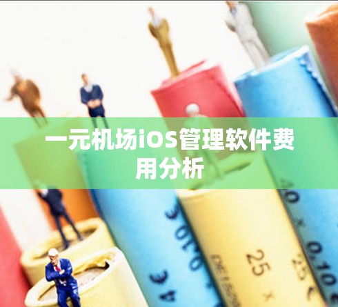 一元机场iOS管理软件费用分析