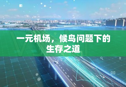 一元机场，候鸟问题下的生存之道