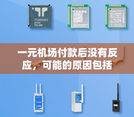 一元机场付款后没有反应，可能的原因包括