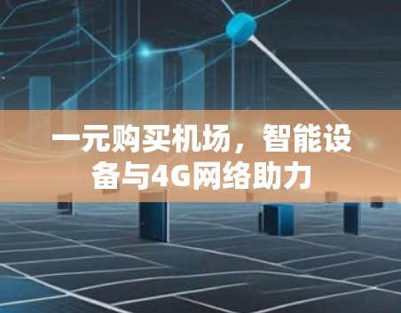 一元购买机场，智能设备与4G网络助力