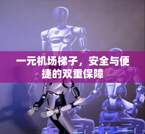 一元机场梯子，安全与便捷的双重保障