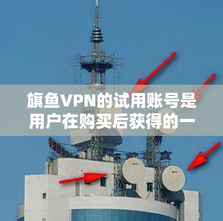 旗鱼VPN的试用账号是用户在购买后获得的一段有限的时间和权限，用于测试和体验旗鱼VPN的功能。以下是关于旗鱼VPN试用账号的详细信息