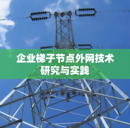 企业梯子节点外网技术研究与实践