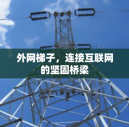 外网梯子，连接互联网的坚固桥梁