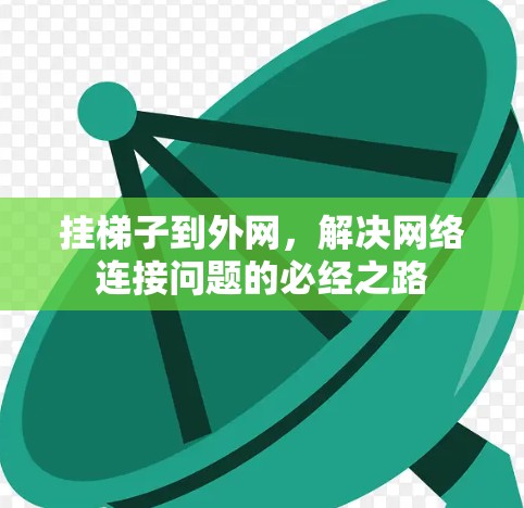 挂梯子到外网，解决网络连接问题的必经之路