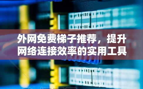 外网免费梯子推荐，提升网络连接效率的实用工具