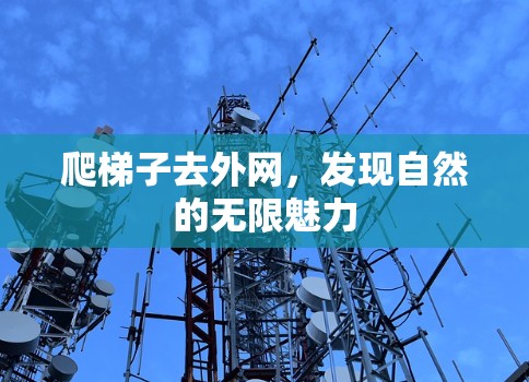爬梯子去外网，发现自然的无限魅力