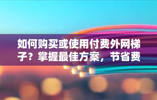 如何购买或使用付费外网梯子?掌握最佳方案,节省费用! 如何购买或使用付费外网梯子?掌握最佳方案,节省费用!