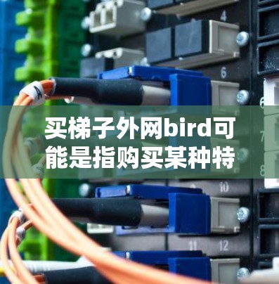 买梯子外网bird可能是指购买某种特定类型的梯子或与鸟相关的梯子产品。以下是一些可能的解释和建议