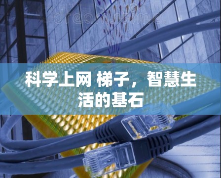 科学上网 梯子，智慧生活的基石