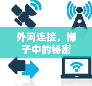 外网连接，梯子中的秘密