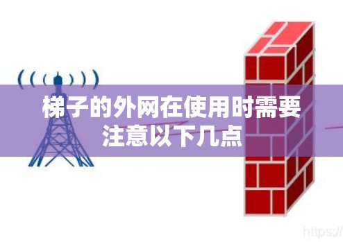 梯子的外网在使用时需要注意以下几点