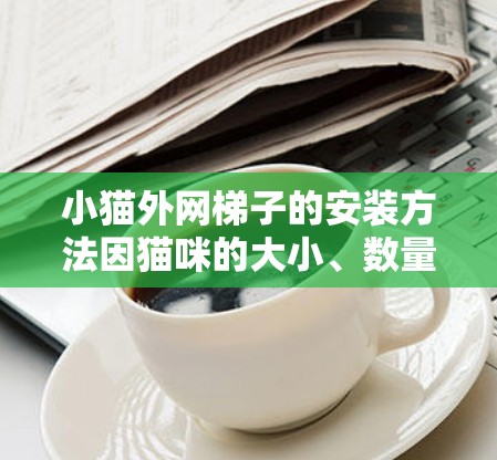 小猫外网梯子的安装方法因猫咪的大小、数量以及使用场景而异。以下是一般性的步骤和建议，供您参考