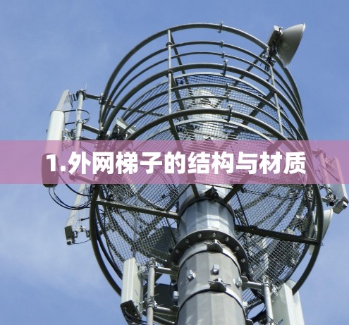 1.外网梯子的结构与材质