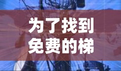 为了找到免费的梯子上外网，可以按照以下步骤进行