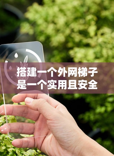 搭建一个外网梯子是一个实用且安全的过程，以下是一步步的指南