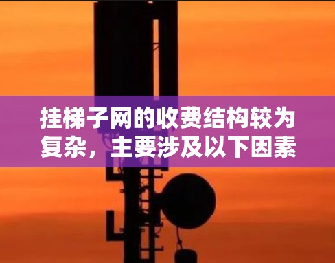 挂梯子网的收费结构较为复杂，主要涉及以下因素