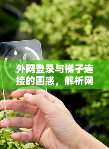 外网登录与梯子连接的困惑，解析网络连接中的物理与网络问题