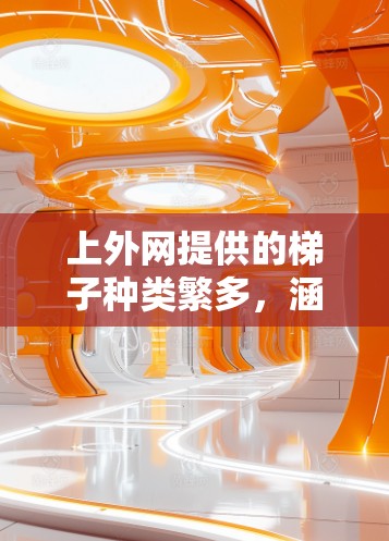 上外网提供的梯子种类繁多，涵盖了不同用途，适合在各种场景中使用。以下是对梯子的详细介绍