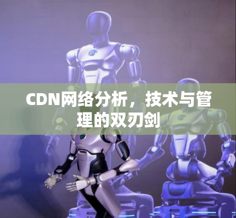 CDN网络分析，技术与管理的双刃剑