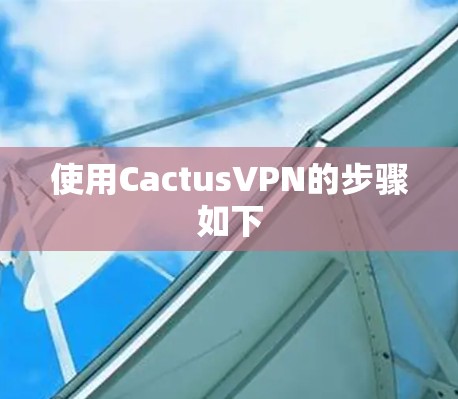 使用CactusVPN的步骤如下