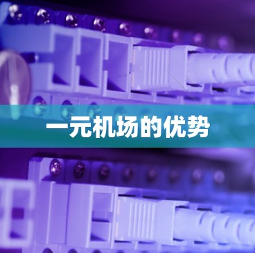一元机场的优势