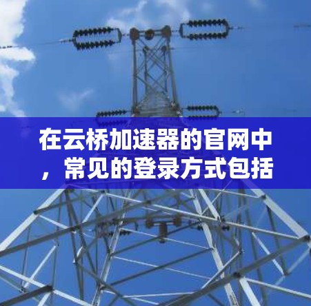 在云桥加速器的官网中，常见的登录方式包括