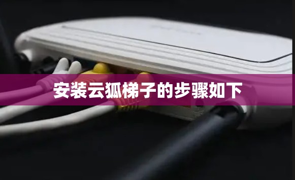 安装云狐梯子的步骤如下