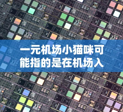 一元机场小猫咪可能指的是在机场入口处设计或使用的小型宠物，或者是一个宠物入口的设计灵感。宠物入口通常是一个吸引人的地方，用于吸引宠物进入机场或在机场内部使用。以下是一些关于宠物入口的设计和功能的建议