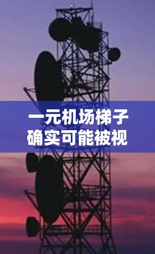 一元机场梯子确实可能被视为容易被坑的地方。以下是对这一问题的详细分析和建议